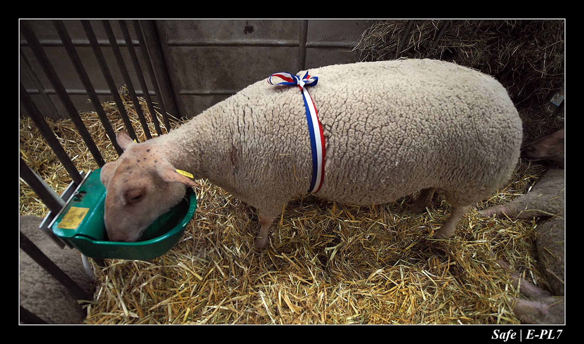 2020 - 02 - Salon agriculture 45